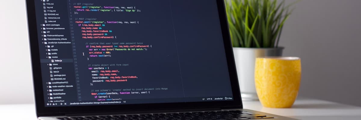 Programming & Development